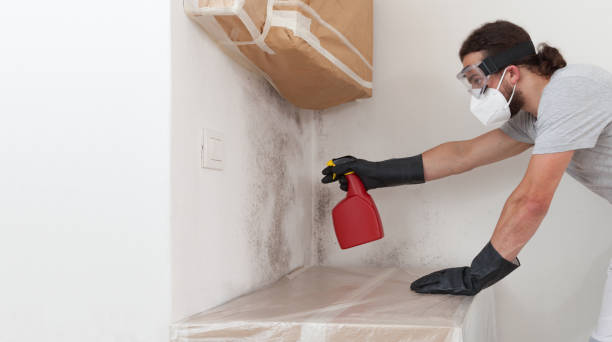 Professional Mold Remediation technician working in Marion, TX