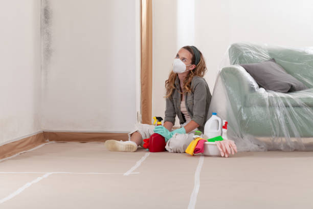Reliable Mold Remediation contractor in Marion, TX by Mold Remediation HQ